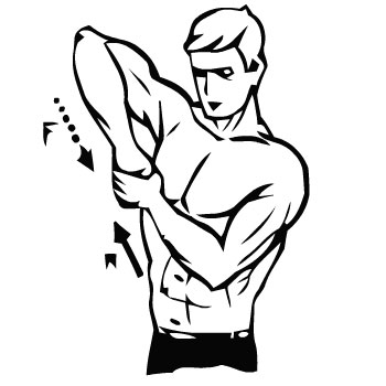 Упражнения для мышц рук - трицепс